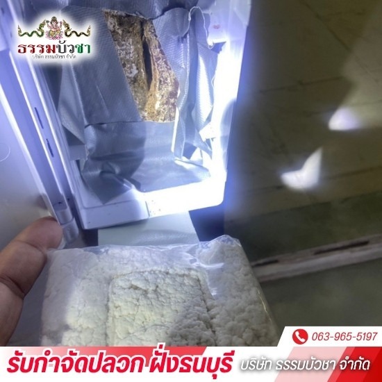 บริษัทกำจัดปลวก ฝั่งธนบุรี - ธรรมบัวชา - กำจัดปลวกด้วยระบบเหยื่อ บางแค