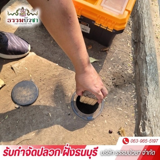 บริษัทกำจัดปลวก ฝั่งธนบุรี - ธรรมบัวชา - กำจัดปลวกราคาถูก ใกล้ฉัน