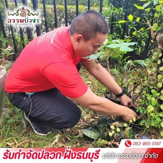 บริษัทกำจัดปลวก ฝั่งธนบุรี - ธรรมบัวชา - บริษัทกำจัดปลวก ใกล้ฉัน