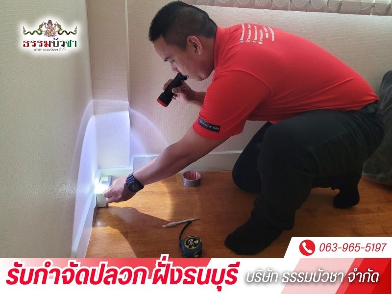 กำจัดปลวก ฝั่งธนบุรี