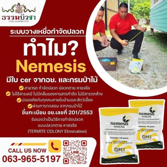 กำจัดปลวก มืออาชีพ