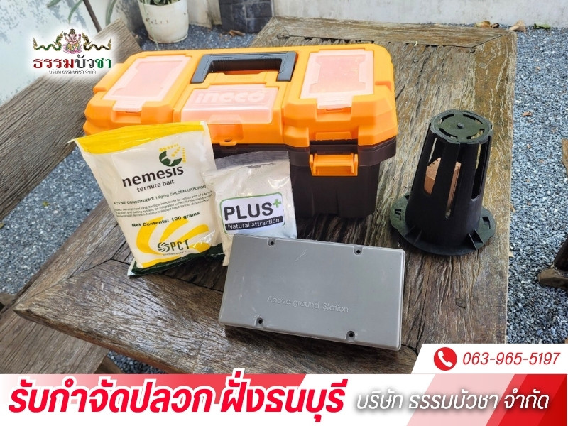 บริการกำจัดปลวก มด แมลงสาบ
