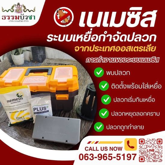 ระบบเหยื่อกำจัดปลวก