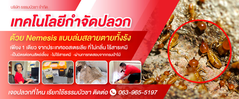บริษัทกำจัดปลวก ฝั่งธนบุรี ธรรมบัวชา (137400)