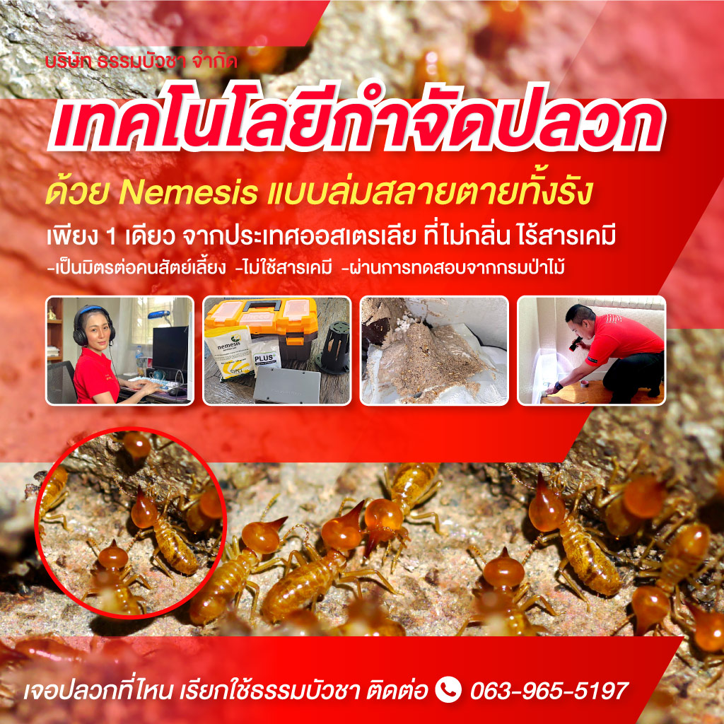 บริษัทกำจัดปลวก ฝั่งธนบุรี - ธรรมบัวชา