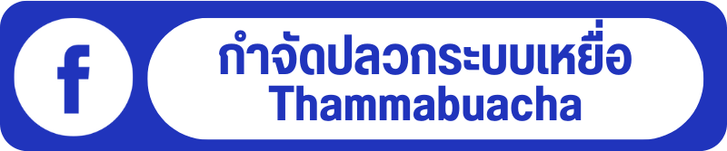 FB - Thammabuacha